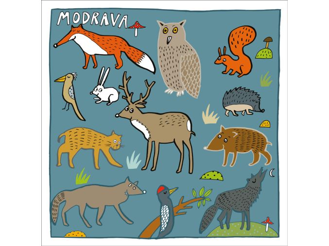 Pohledy Modrava B