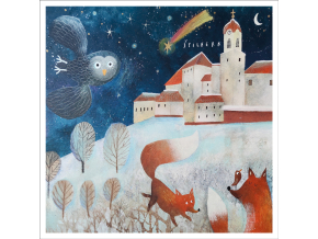 Pohled spilberk zima