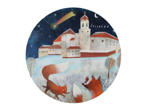 Z TBN21 Spilberk zima noc