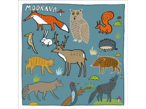 Pohledy Modrava B