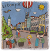 MT litomysl web