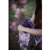 218 DSCF3355