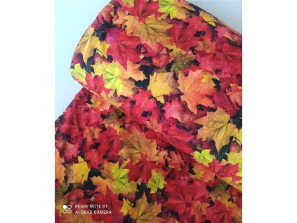Softshell - Podzimní barevné listy
