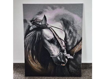 🐎 Diamantový obraz – Kůň (50 × 40 cm, s rámem)