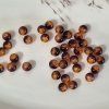 Skleněné korálky s praskajícím vzorem – hnědo/jantarové - ø 6 mm - 10 ks