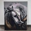 🐎 Diamantový obraz – Kůň (50 × 40 cm, s rámem)
