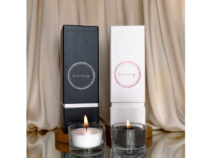 Luminary 1x1 Ads shopify 1 2