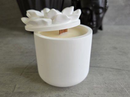 20250915 094559 kopie