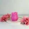 Tulip pink