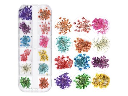 Farebné sušené kvety v krabičke s 12 priehradkami