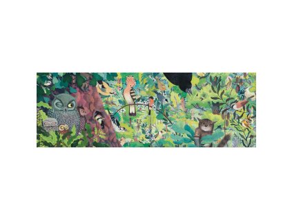DJECO Puzzle Sovy a ptáci - 1000 pcs