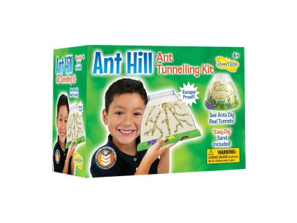 ant hill 1
