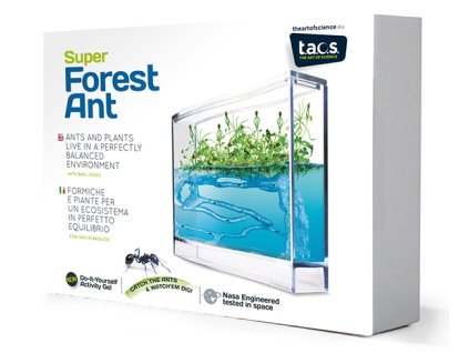 Taos superforest pack web