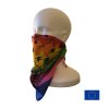 Rainbow skull side view background web EU