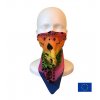 Rainbow skull front background web EU