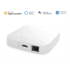 MOES Zigbee wired gateway Homekit logosHK