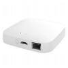 MOES Zigbee wired gateway Homekit logosHK main