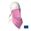 2.S shield pink side2 EU WEB