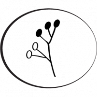                                     Ing. Petra Klotnyai Slugeňová LUPENE
                            