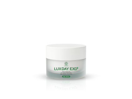 LUXDAY EXO++
