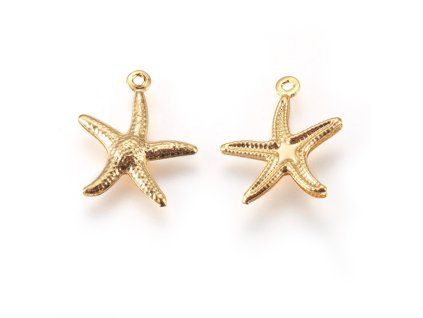 Img X STAS E447 19G 2