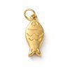 Polished gold fish charm close up