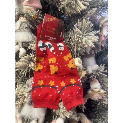 Pánské ponožky Judge