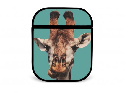 funny giraffe