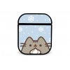 Kryt na Airpods snow cream cat