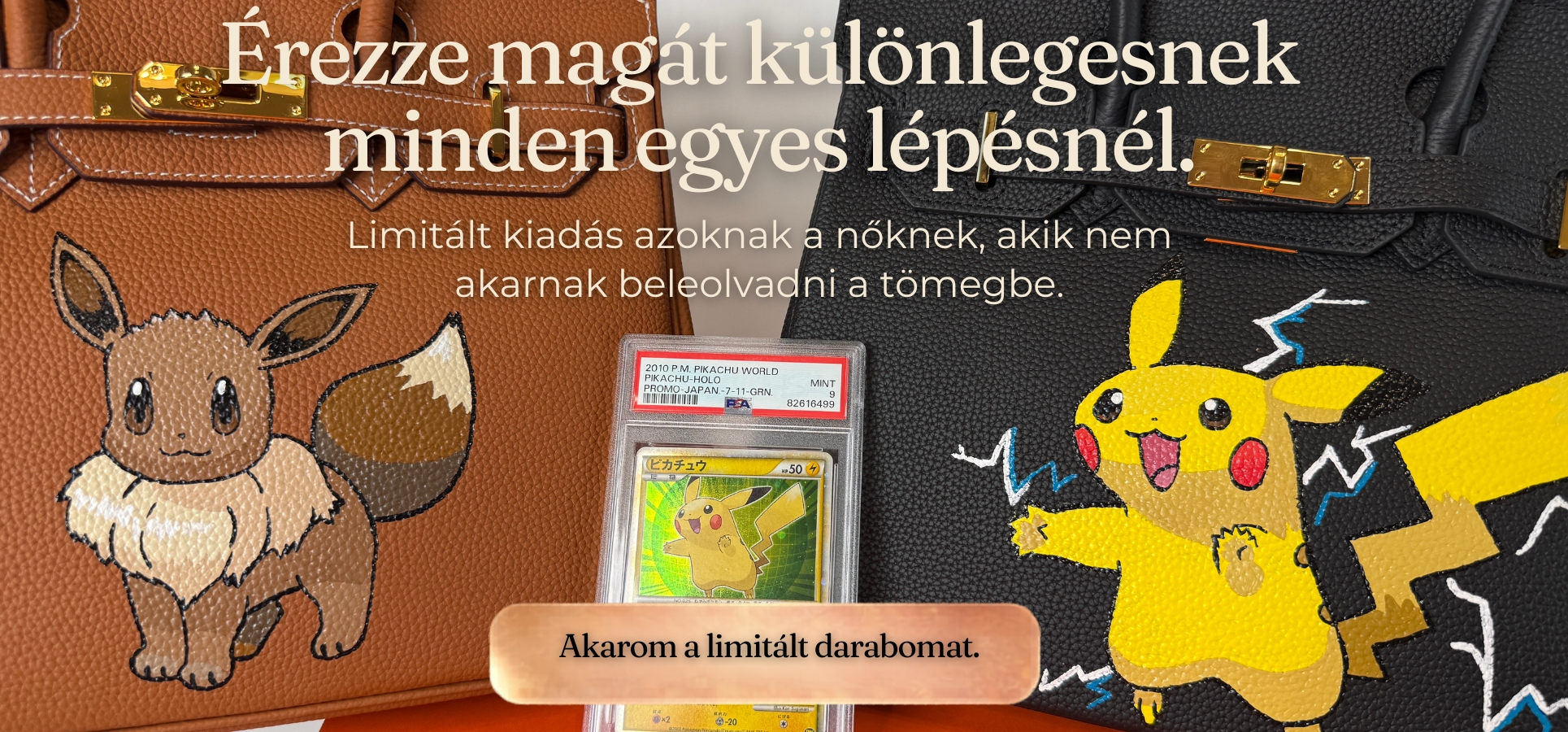 DESKTOP PIKACHU LIMITKY BANNER SK CZ HU