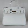 Icona 35 Handbag in Togo Leather