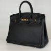 Icona 35 Handbag in Togo Leather