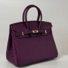 Icona 25 Handbag in Togo Leather