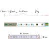 rgb-led-pasek-24v-lux-miners-14-2