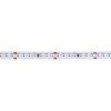 led-streifen-rot-24v-lux-miners-10w-168-led-7