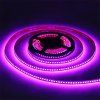 led-streifen-violett-24v-lux-miners-10w-168-led-6