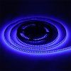led-streifen-blau-24v-lux-miners-10w-168-led-6