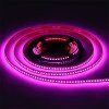 led-streifen-rosa-24v-lux-miners-10w-168-led-6