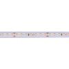 tasma-led-ip65-24v-lux-miners-ps-8w-126led-cri90-5