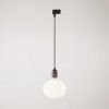 track-pendant-lamp-with-wooden-lamp-holder-11