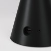 portable and rechargeable cabless01 led lamp with g125 globe light bulb 14