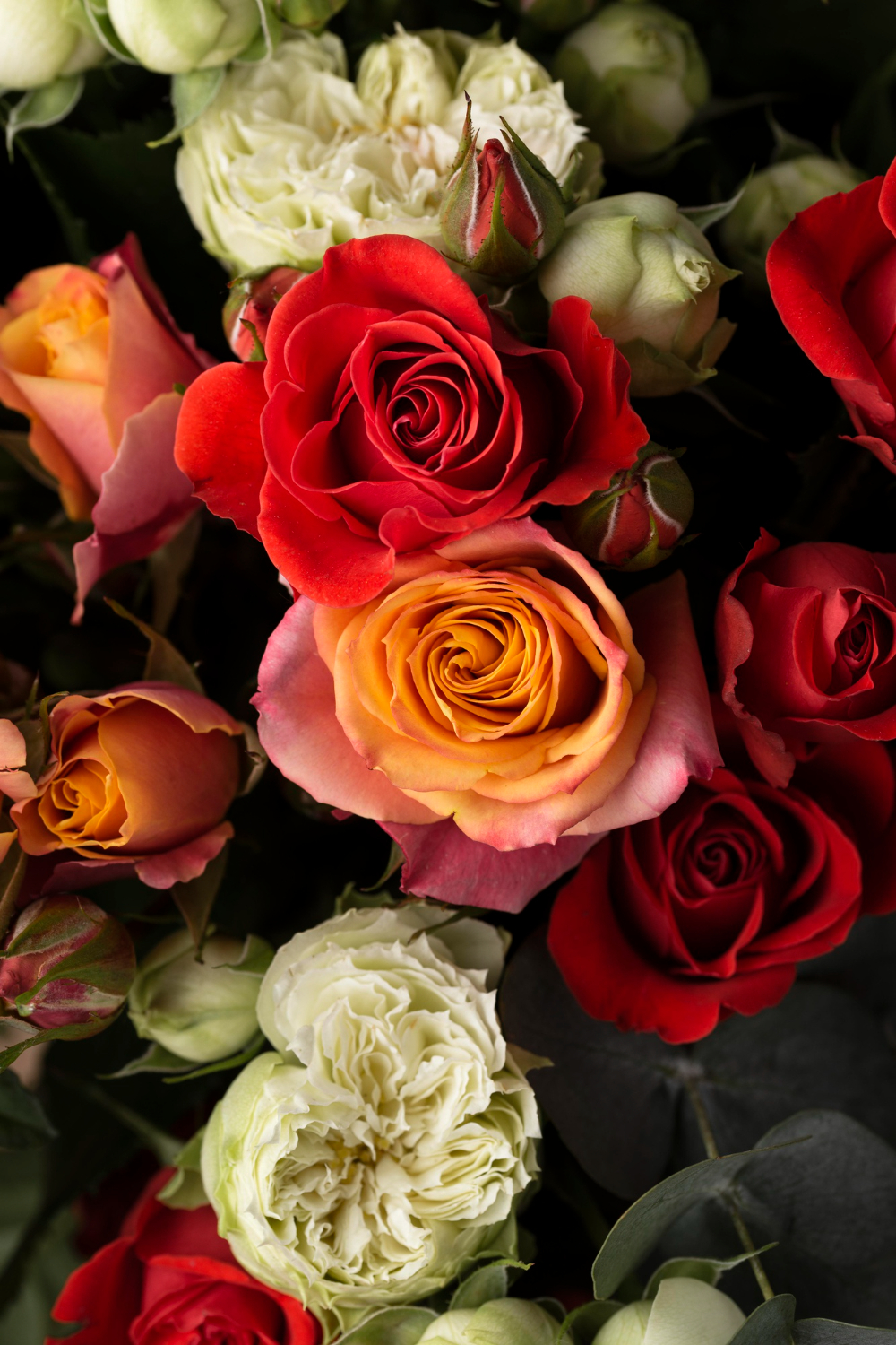CARE FOR ROSES