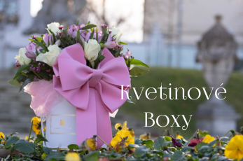 boxy