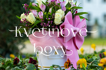 boxy
