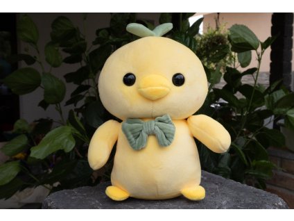 Chick