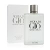 Giorgio Armani Acqua di Gio Pour Homme toaletna voda pre muža