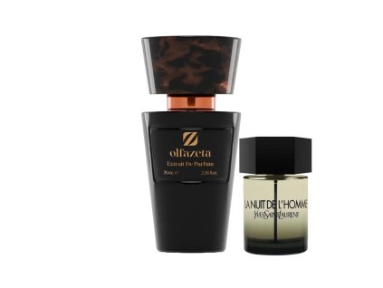 Ysl La nuit de l,home