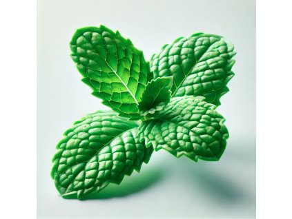 Mint