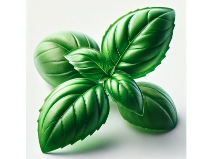 Basil