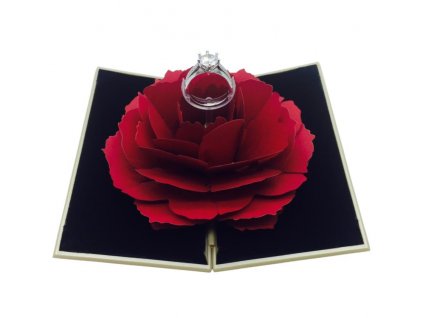 Rose Box Zlaty (1)